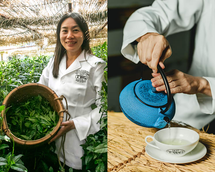 What is Hon-Gyokuro, one of the rarest types of Japanese green tea in the world?