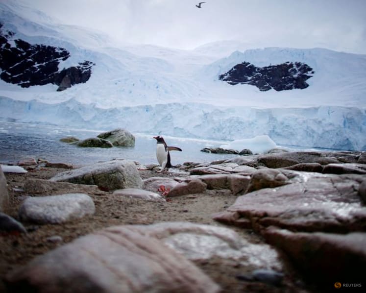 New map reveals hidden landscape under Antarctica's ice sheet