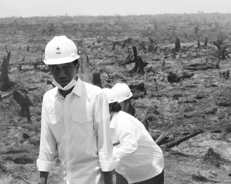 Cooperation, not confrontation, needed to tackle haze