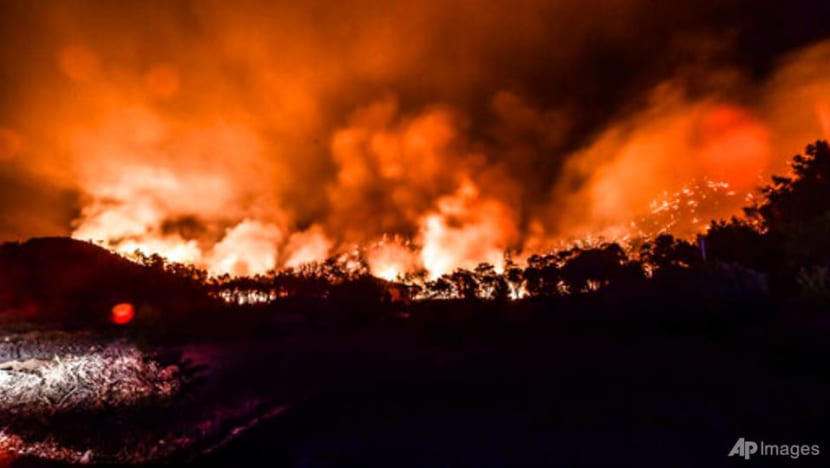 Turkish powerplant's main units not damaged by wildfires: Government