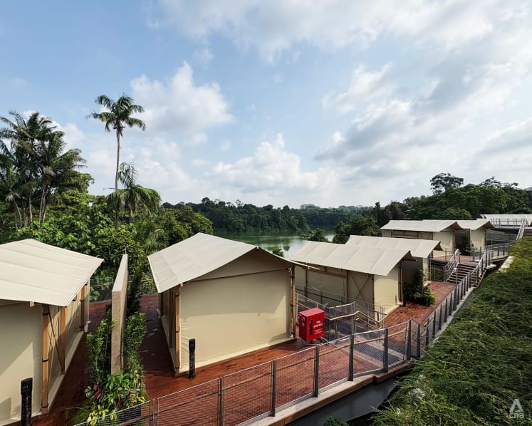 Mandai Wildlife Reserve launches Colugo Camp, a luxury camping space with buffets and guided tours 