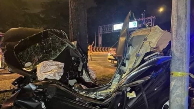 轿车撞大树呈“U”形 马国车主遭夹毙