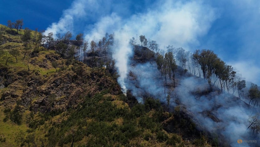 Kebakaran meluas, wisata Bromo ditutup total, sejumlah destinasi sekitar masih bisa dikunjungi
