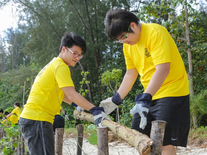 100m of floatsam fence was created on Coney Island as part of the environmental conservation initiatives organised by Outward Bound Singapore on March 5, 2016. Photo: OBS and National Youth Council 100m of floatsam fence was created on Coney Island as part of the environmental conservation initiatives organised by Outward Bound Singapore on March 5, 2016. Photo: OBS and National Youth Council