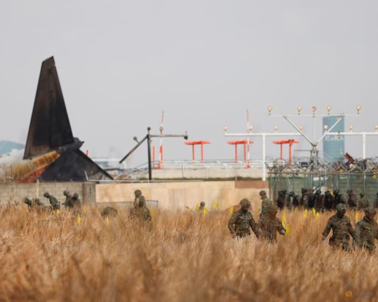 Bird strikes a common hazard, but aviation experts say there’s more to Jeju Air crash
