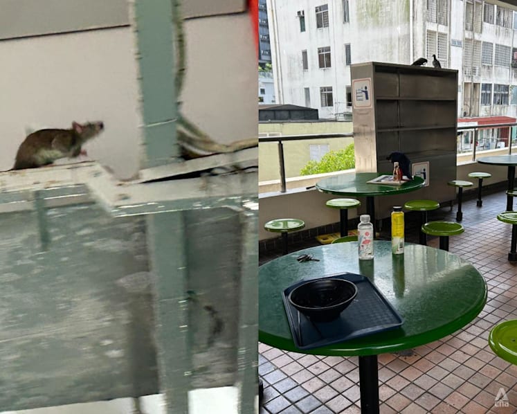 Rats at Beauty World food centre: Customers complain of dirty conditions, hawkers defend pest control efforts