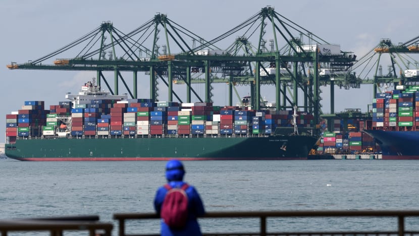 Trailer truck driver sole Covid-19 community case in Singapore; MOH to carry out special testing operations at Pasir Panjang Terminal