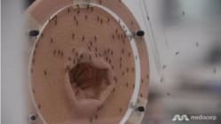 Related article image