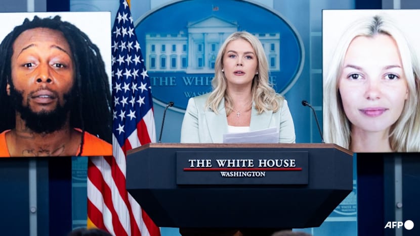 Alleged US killer of Ukrainian refugee ruled incompetent to stand trial