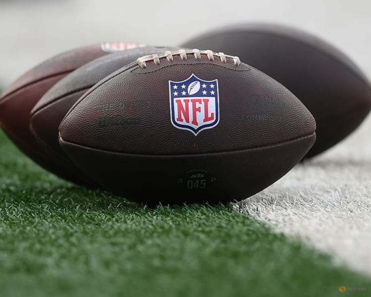 US court reinstates 'Sunday Ticket' class action verdict against NFL