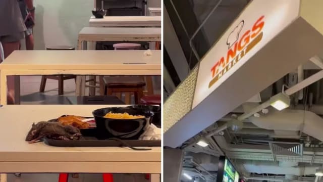 食阁闹鼠患事件  诗家董：连续三天彻底清洗消毒