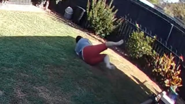 澳洲女子后院遇毒蛇缠腿 惊险自救画面曝光