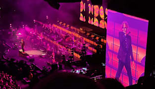 Pria ini nekat nonton 9 konser di 8 kota Eropa dalam 11 hari, lelah tapi puas banget!