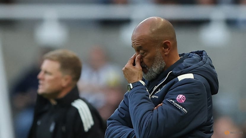 West Ham on brink of relegation after Newcastle flop