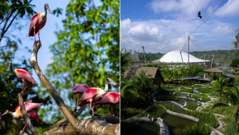 Taman burung baru 'Bird Paradise' dibuka pada 8 Mei dengan harga diskaun
