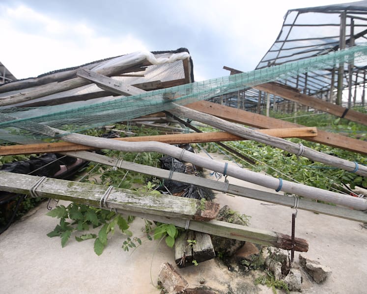 Thunderstorm, gusty winds lash Singapore for a second day