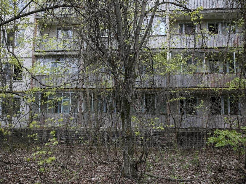 Chernobyl zone turns into testbed for Nature’s rebound