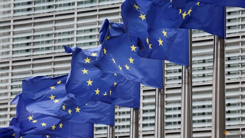Zalando to appeal EU court ruling rejecting its challenge against EU tech rules
