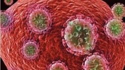 Related article image