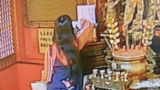 假装参拜 台湾女子偷拿贡品被捕