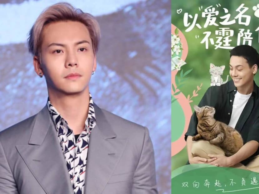 HK Star William Chan Was Paid S$1.3Mil To Endorse A Cat Food Brand In 2021
