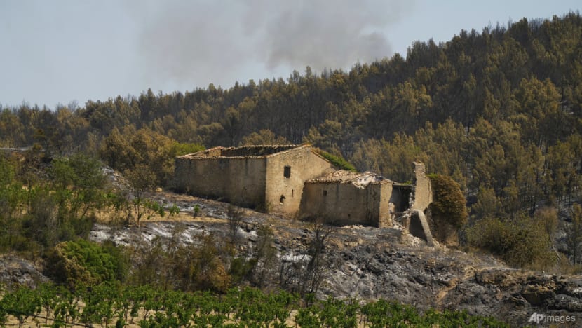 France races to contain southern wildfire as heatwave intensifies across Europe France races to contain southern wildfire as heatwave intensifies across Europe