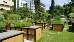 Related article image