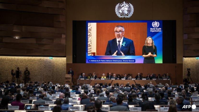 WHO chief urges countries to adopt pandemic agreement WHO chief urges countries to adopt pandemic agreement