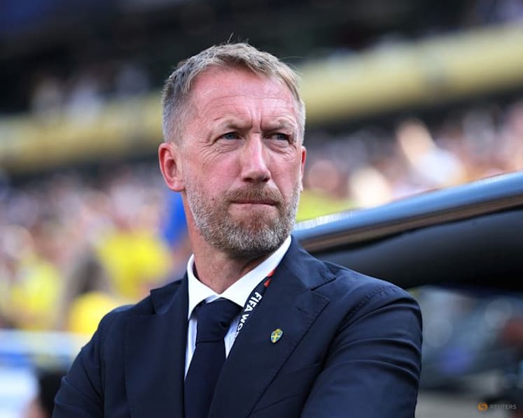 Potter's Sweden rebuild to continue after World Cup exit