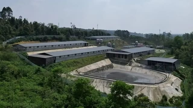 中国养猪场老板掉进化粪池 六员工施救不幸全遇难