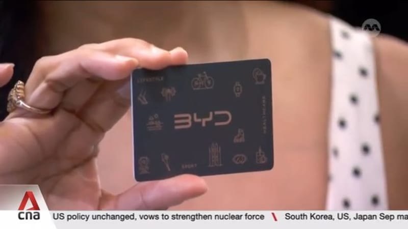 BYD launches lifestyle card offering perks, discounts across 88 brands for car owners