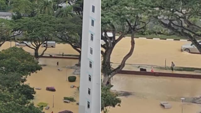 马林百列爆水管流失两奥运泳池水量 肇祸建筑公司被罚款近五万元