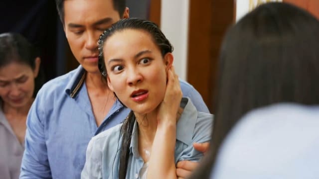 攀龙附凤（第30集）：沐姚车祸丧生