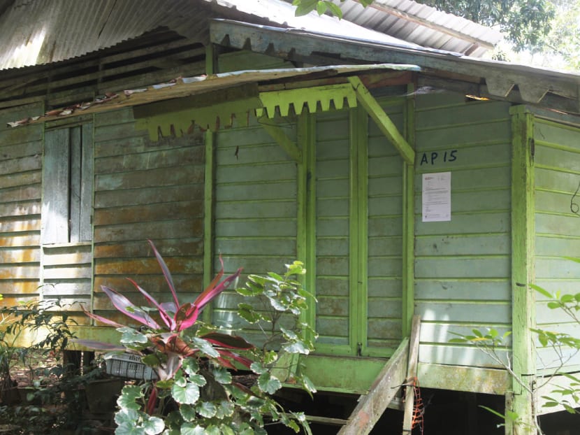 No plans to evict Pulau Ubin residents