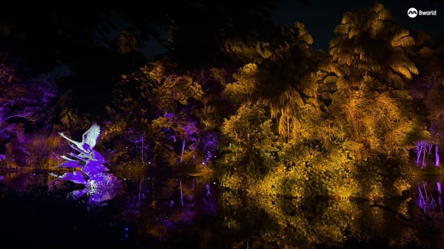 灯光投影配上管弦乐 植物园首办灯光秀等活动庆周年