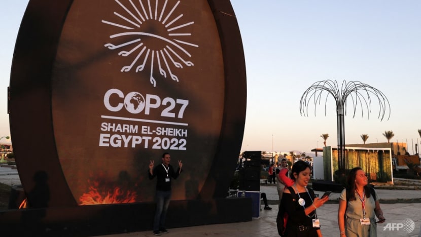 COP27: Singapore can unlock finances to accelerate net-zero push, says MAS chief COP27: Singapore can unlock finances to accelerate net-zero push, says MAS chief