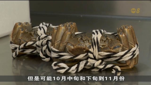 炎热天气和台风影响收成 大闸蟹价格料涨逾一成