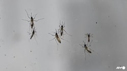 Related article image