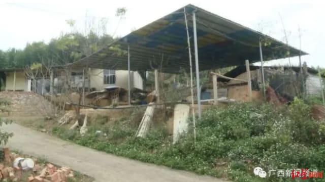 疑因隔壁燃放烟火 中国农场上千鸡只“吓死”