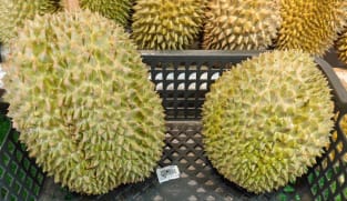 Musang King minggir dulu, ada durian Tupai King yang akan jadi primadona baru