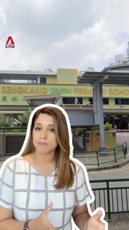 Sengkang Green Primary bullying case: MOE details timeline of events