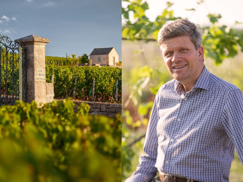 Plot by plot, a Burgundy winemaking scion builds his defence against climate change Plot by plot, a Burgundy winemaking scion builds his defence against climate change