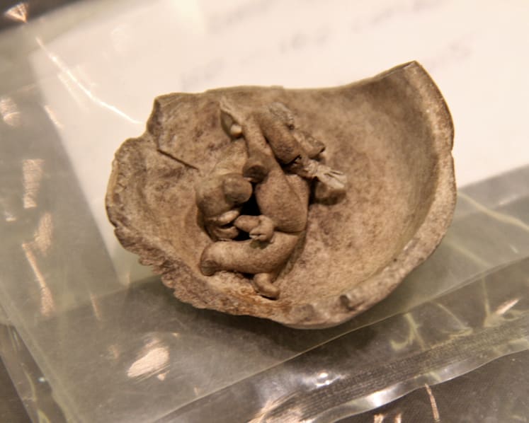 ‘Excavation jackpot’ at Empress Place archaeological dig