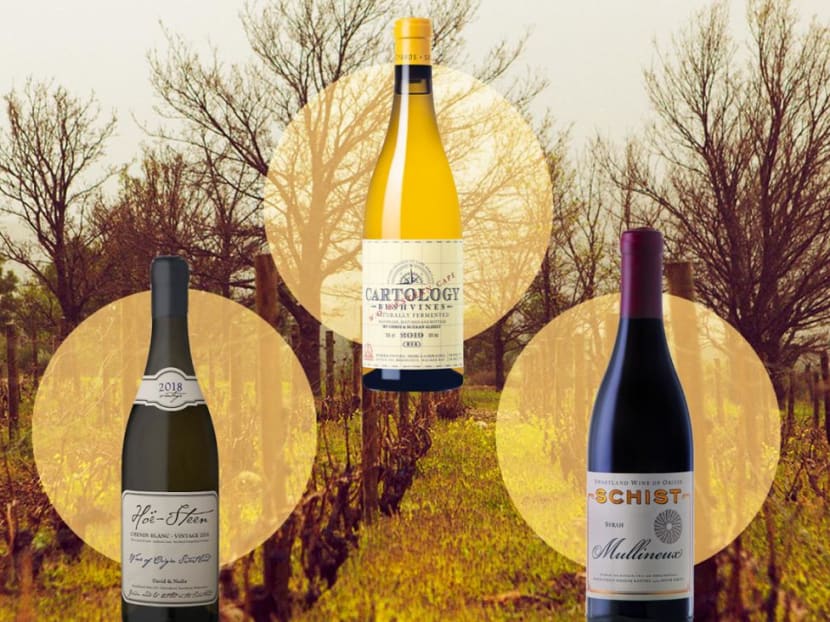 Why South African wines are a must-add to your wine collection: We pick 8 of the best Why South African wines are a must-add to your wine collection: We pick 8 of the best