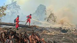 Related article image