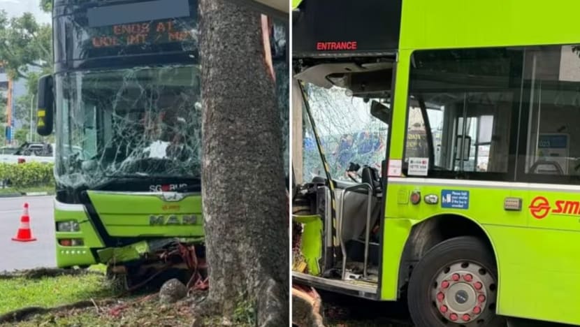 Pemandu bas SMRT maut selepas rempuh pokok di Woodlands, tiada penumpang dalam bas