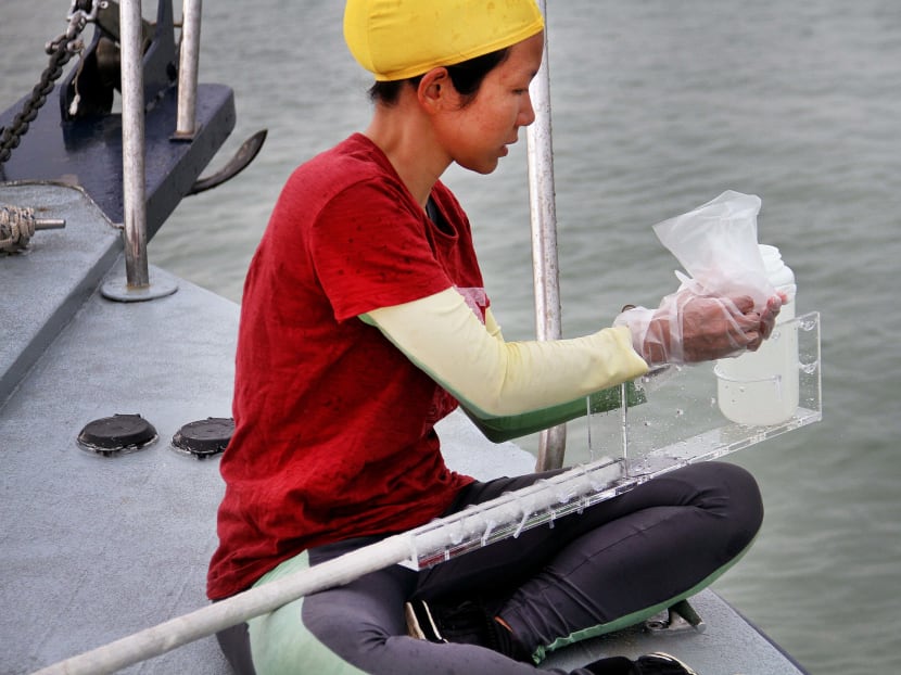 Corals record monsoon patterns, marine chemistry variations