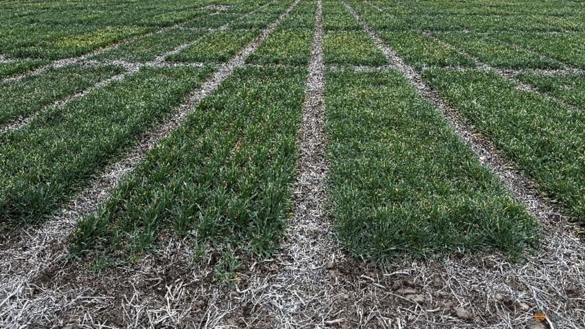 Syngenta Files for Hong Kong IPO Aiming to Raise $5 Billion