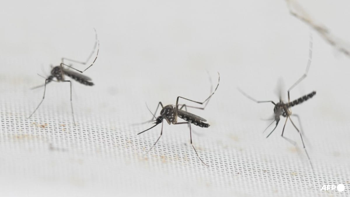 More mosquitoes, less birdsong: Increasingly extreme El Ninos may favour pests while other animals swelter