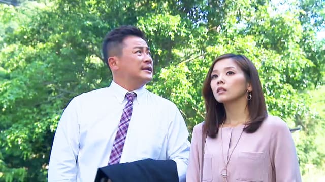 金家好媳妇（第419集）：秋仪找上黑道